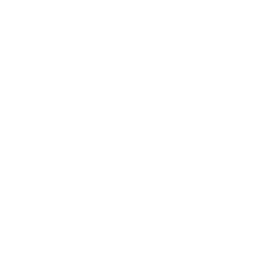 icon-card-nossos-valores