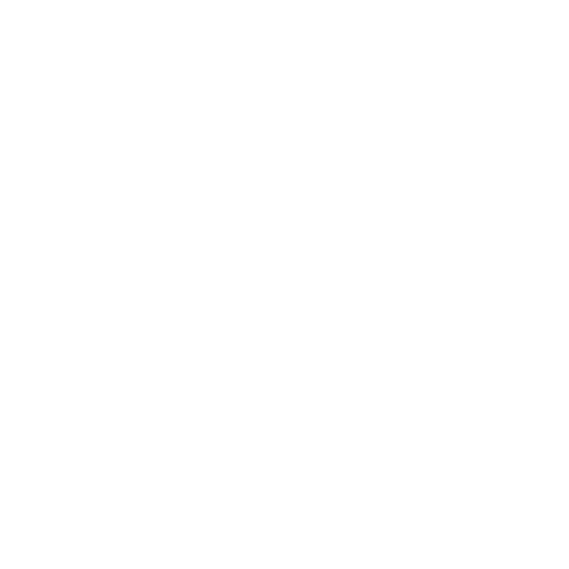 icon-card-nossos-valores